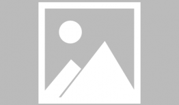 蝌蚪视频下载,轻松获取海量精彩内容